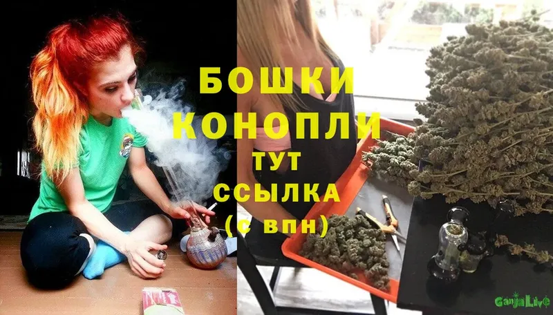 наркотики  Богданович  Каннабис Ganja 